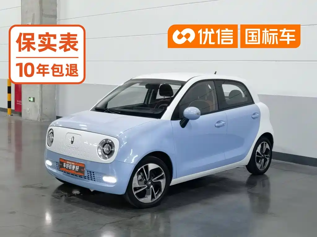 Ora Black Cat 2022 2022 351km Comfort (NMC)