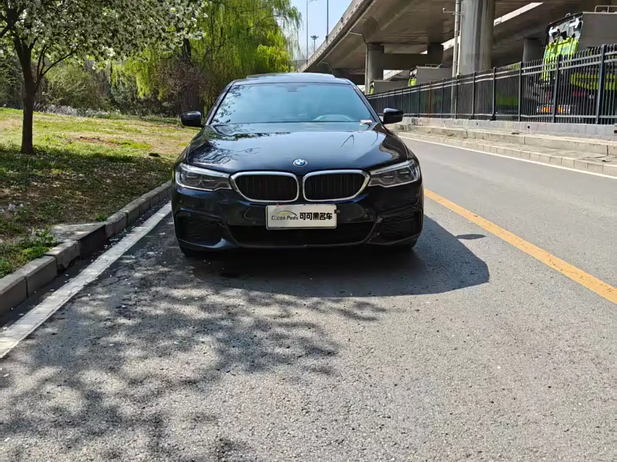 BMW 5 Series 2020 530Li Leading M Sport Package фото 4