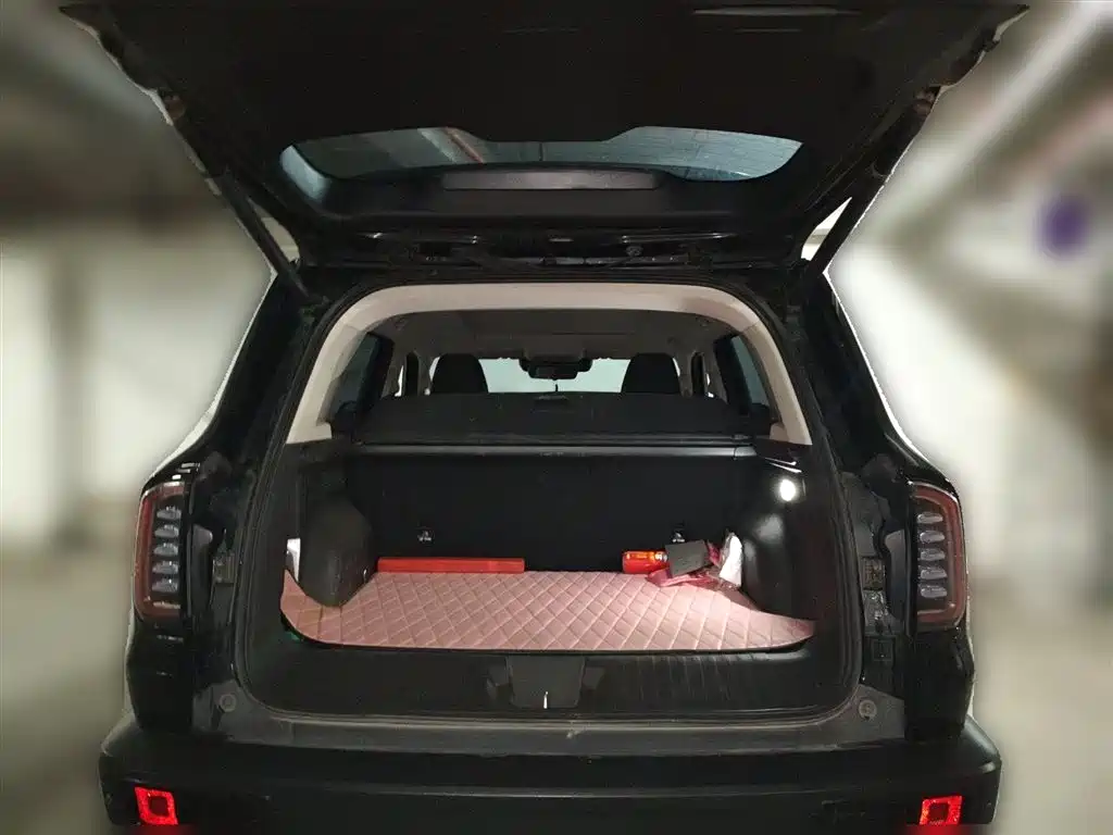 Haval Big Dog 2022 1.5T DCT FWD Border Collie Edition фото 10