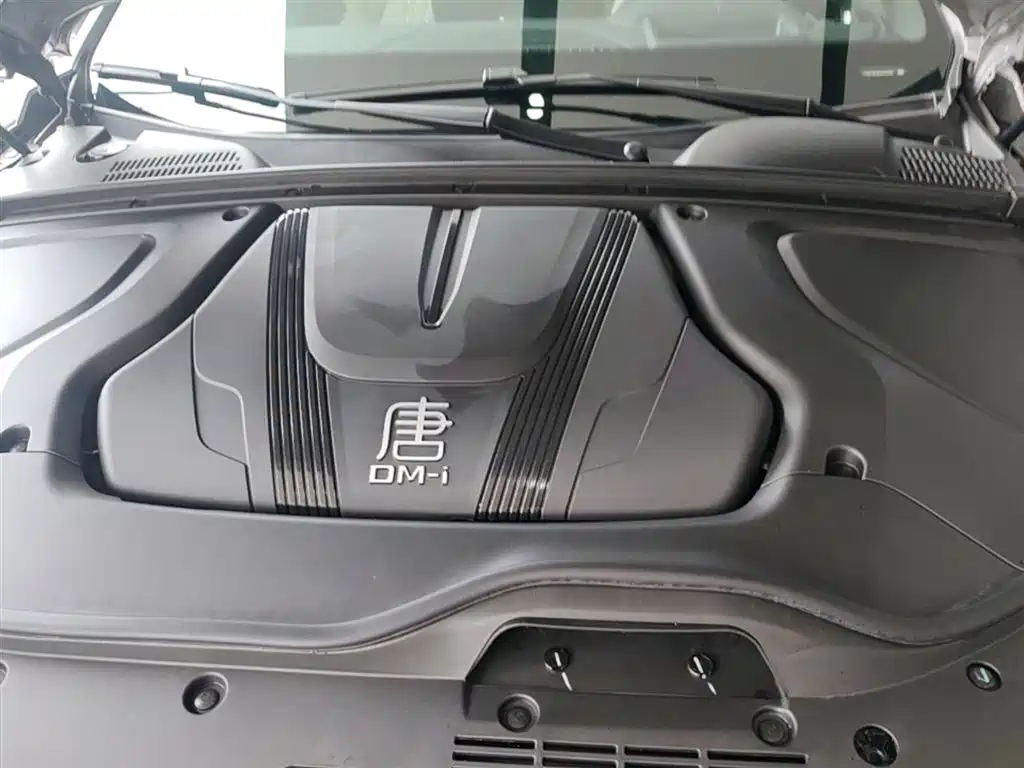 BYD Tang New Energy 2025 Smart Driving Edition DM-i 115KM Flagship фото 20