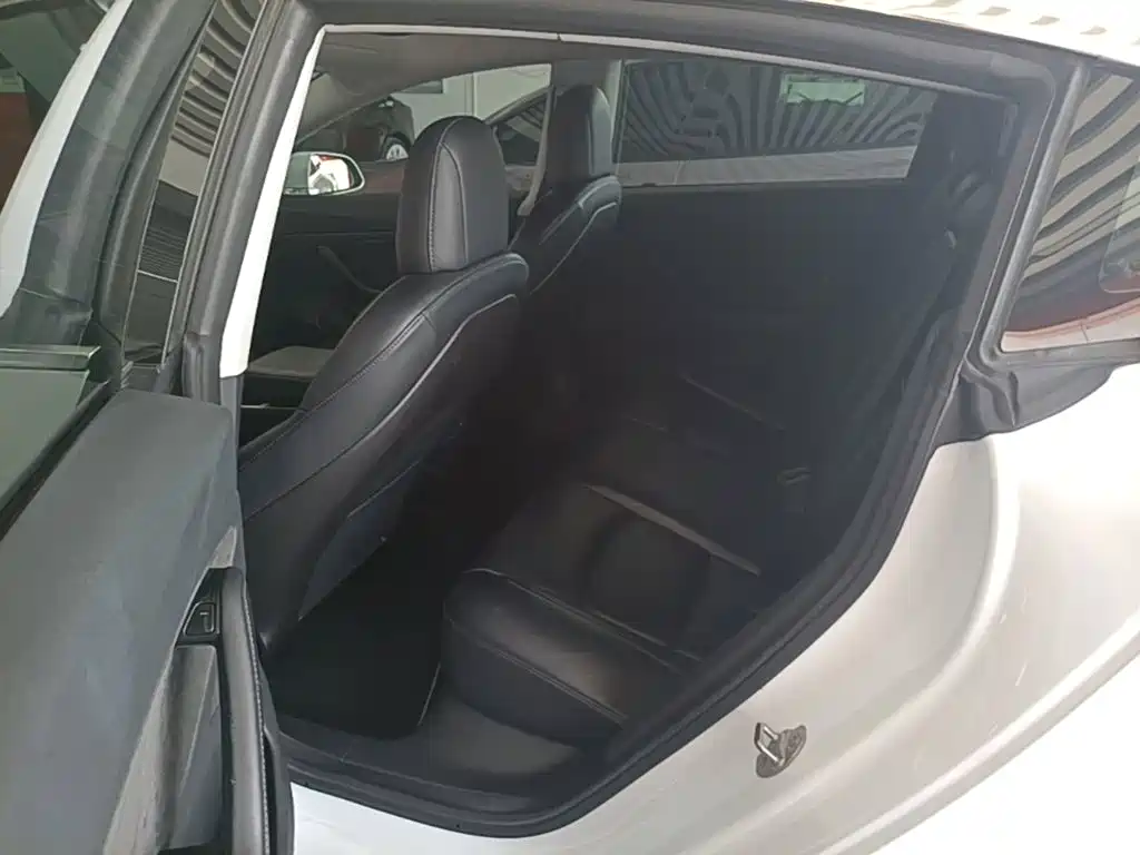 Tesla Model 3 (Import) 2019 2019 Standard Range RWD Upgraded Edition