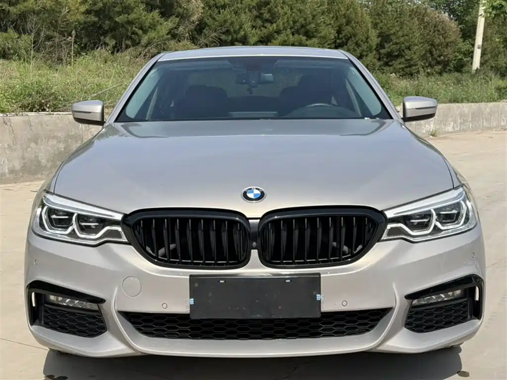 BMW 5 Series 2018 Facelift 530Li Exclusive Luxury Package фото 3