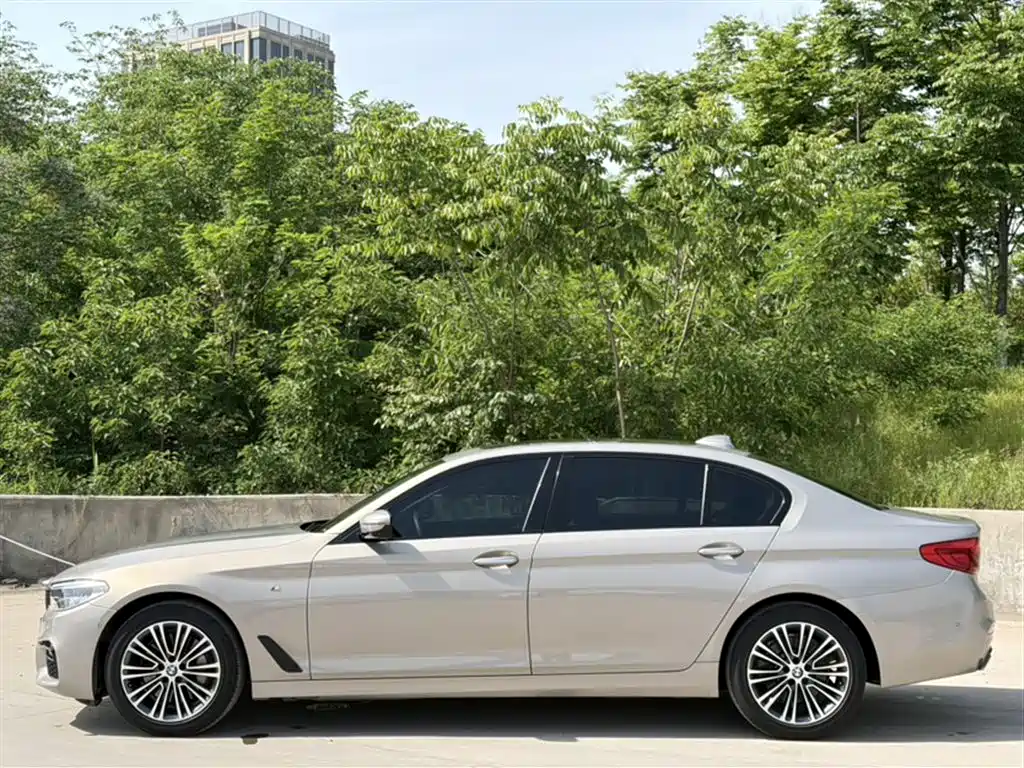 BMW 5 Series 2018 Facelift 530Li Exclusive Luxury Package фото 4