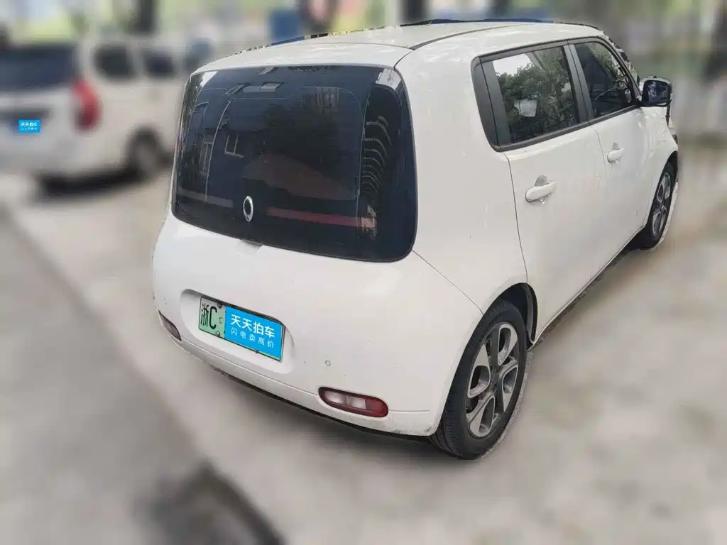 Ora White Cat 2021 2020 401km Flagship Model