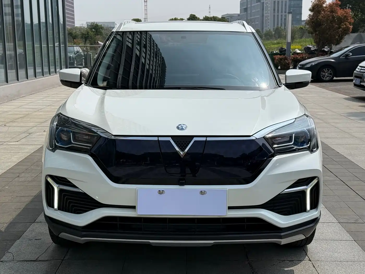 Venucia T60EV