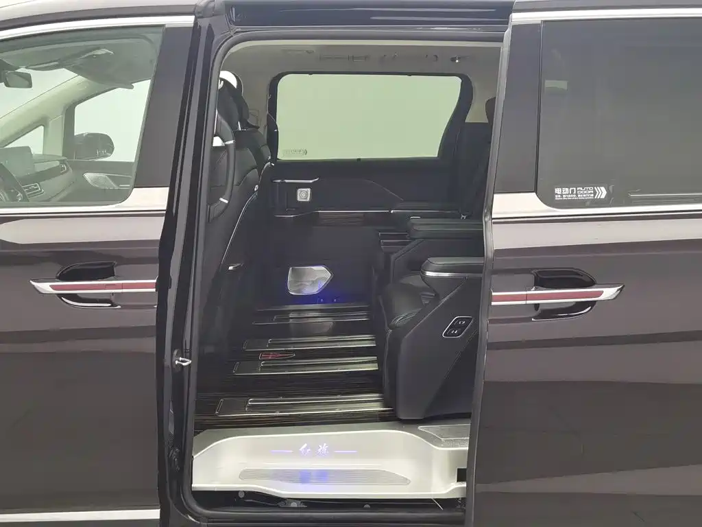 Photo 15 - Hongqi HQ9