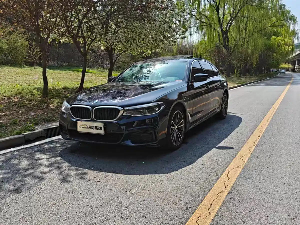 BMW 5 Series 2020 530Li Leading M Sport Package