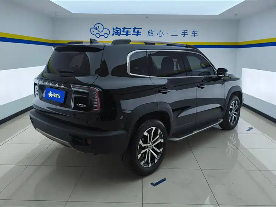 Haval Big Dog 2022 1.5T DCT FWD Malinois Edition фото 3