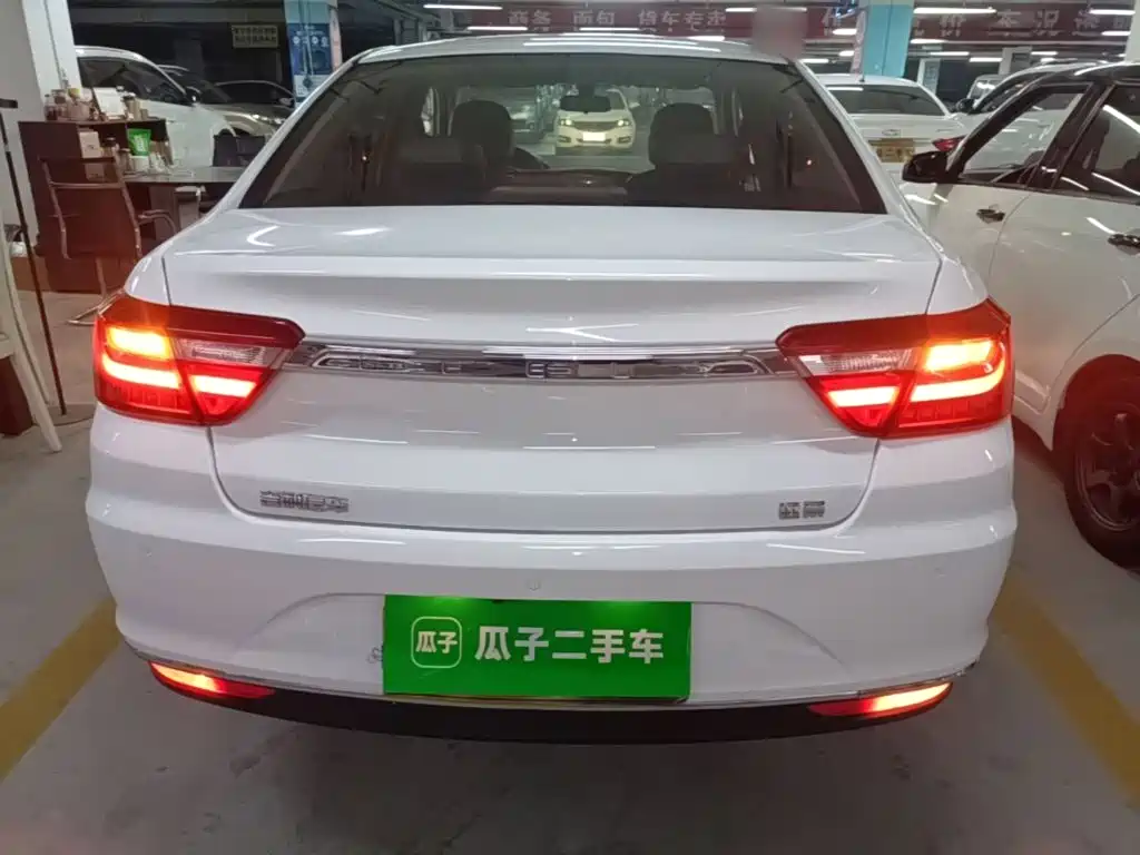 Фото 6 - Geely Vision