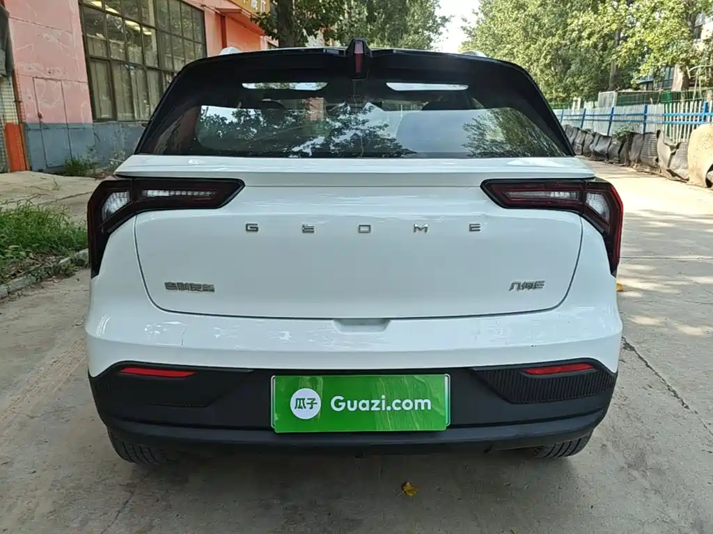 Geely Geometry E Firefly 2024 2024 Model 301km Light Flow
