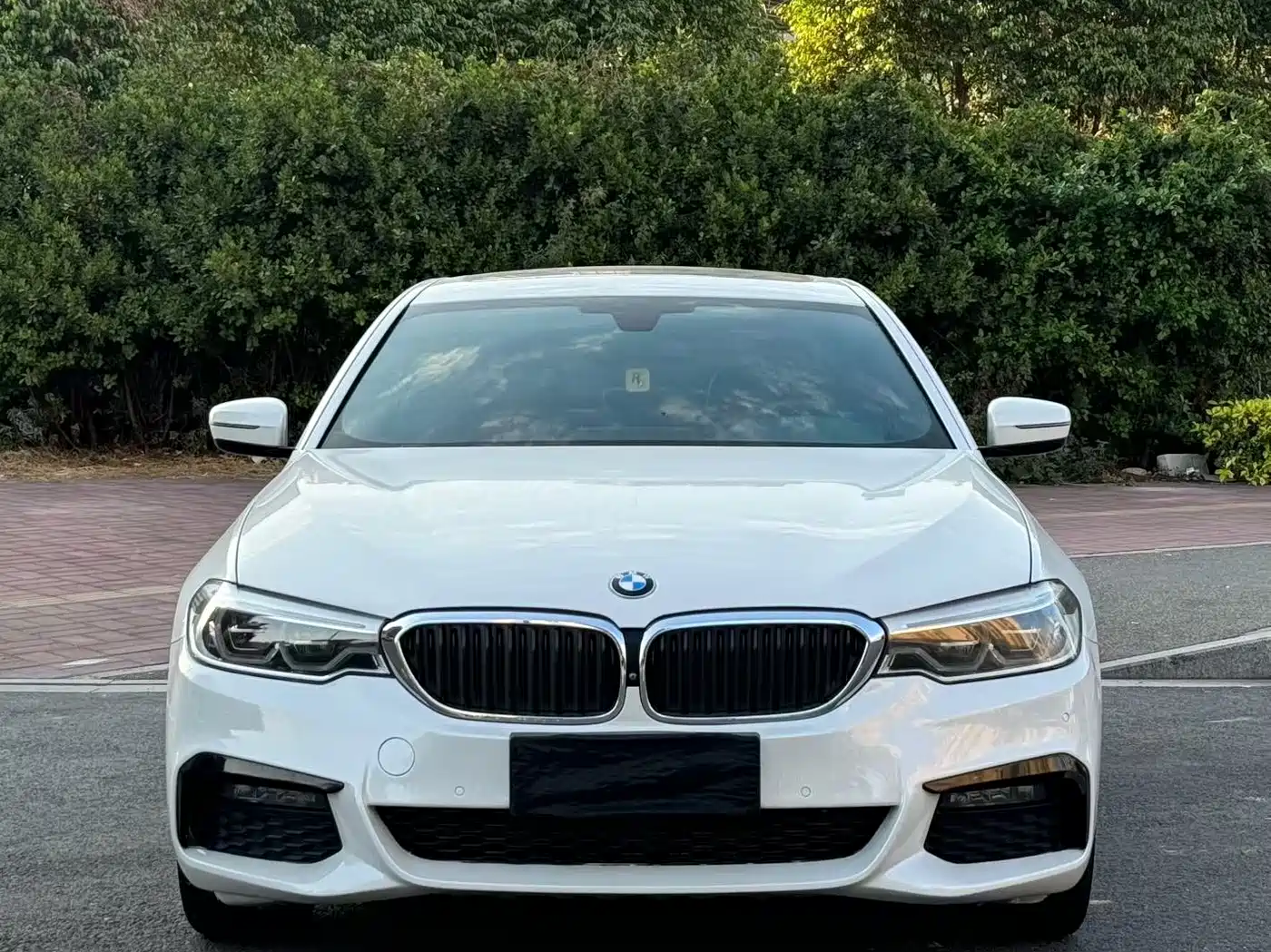 BMW 5 Series 2019 530Li Premium M Sport Package фото 2