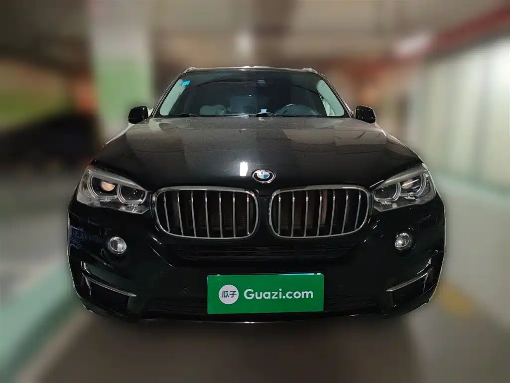 BMW X5 (Import) 2017 xDrive35i Elegance фото 24