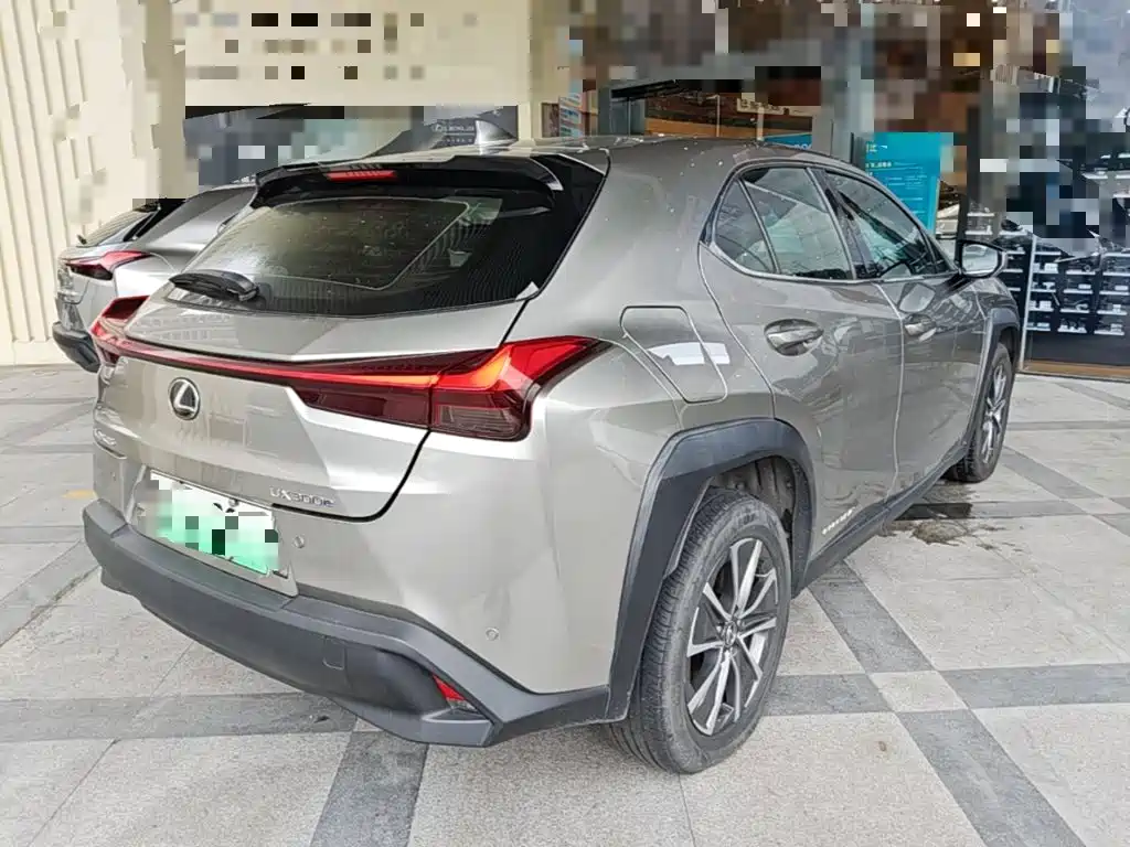 Lexus UX Electric 2021 2020 300e Pure Yue Edition