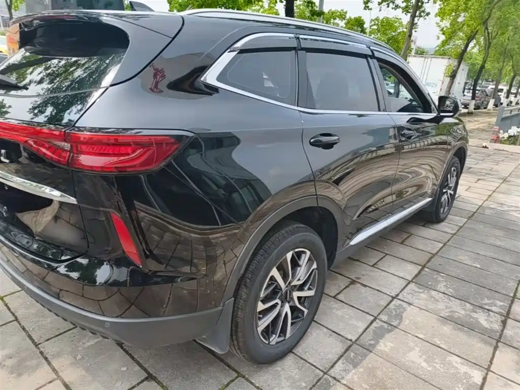 Haval H6 2022 3rd Gen 1.5T Auto 2WD Pro фото 8
