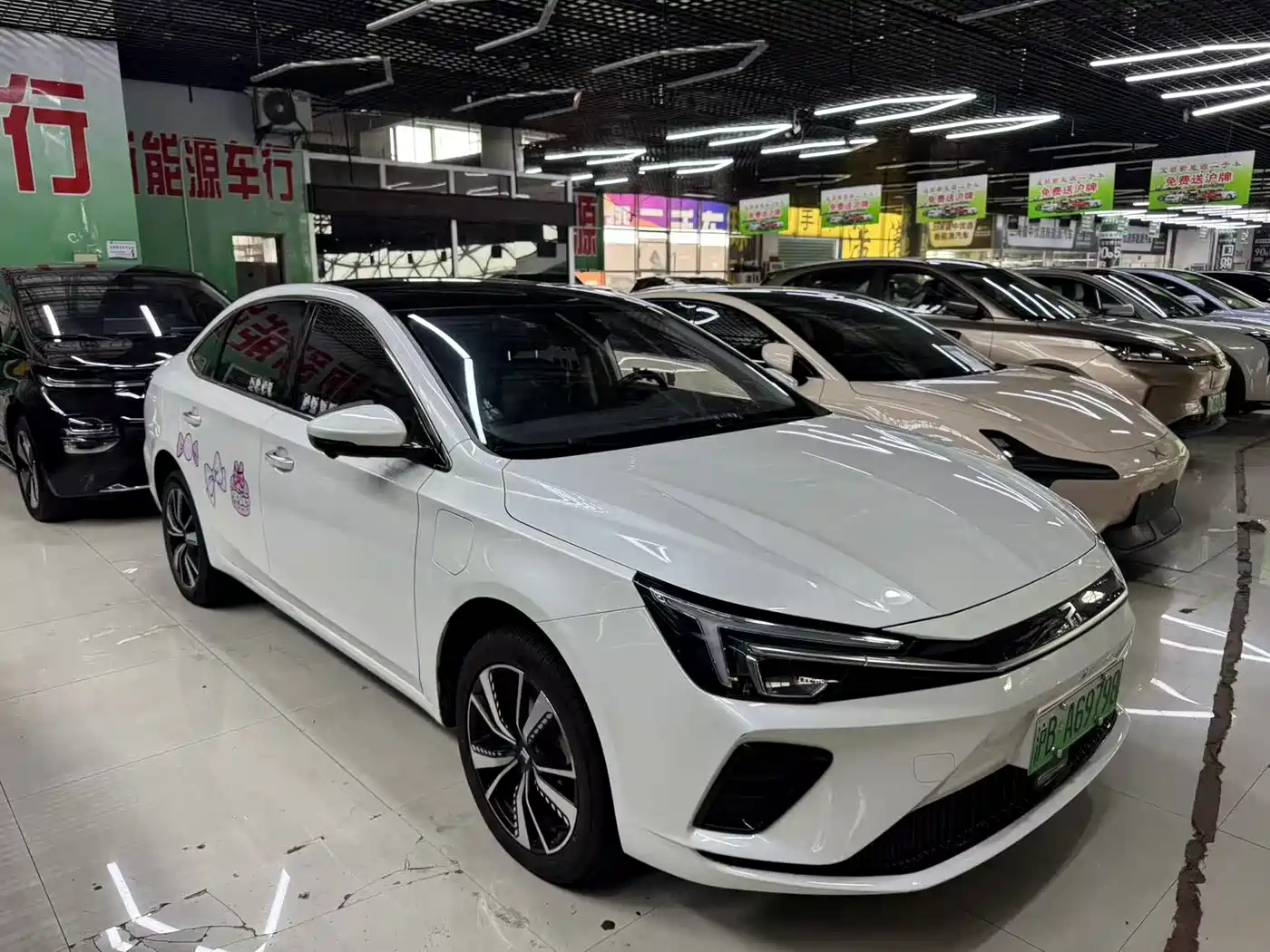 RISING AUTO FEIFAN ER6