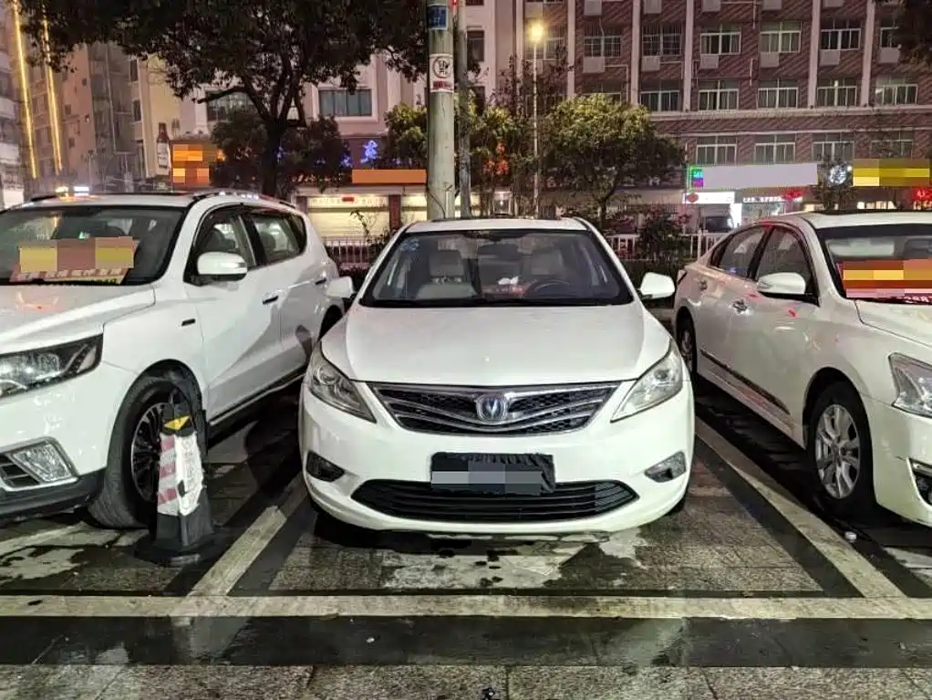 Фото 2 - Changan Eado