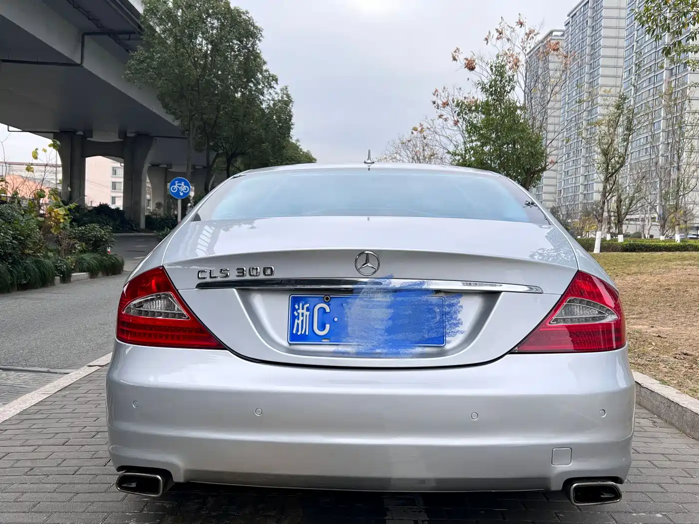 Mercedes-Benz CLS 2009 CLS 300 фото 13