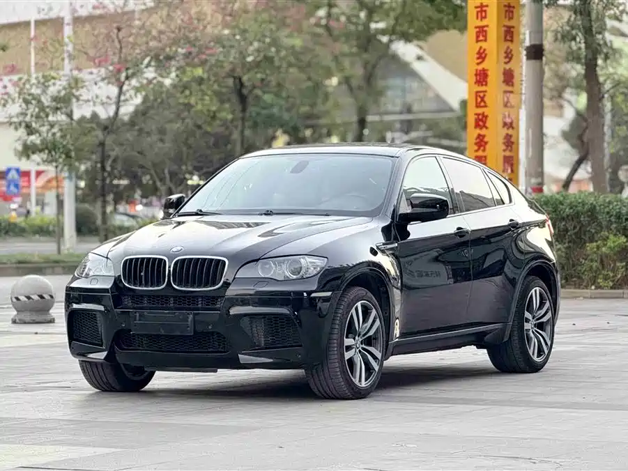 BMW X6 M 2010 X6 M