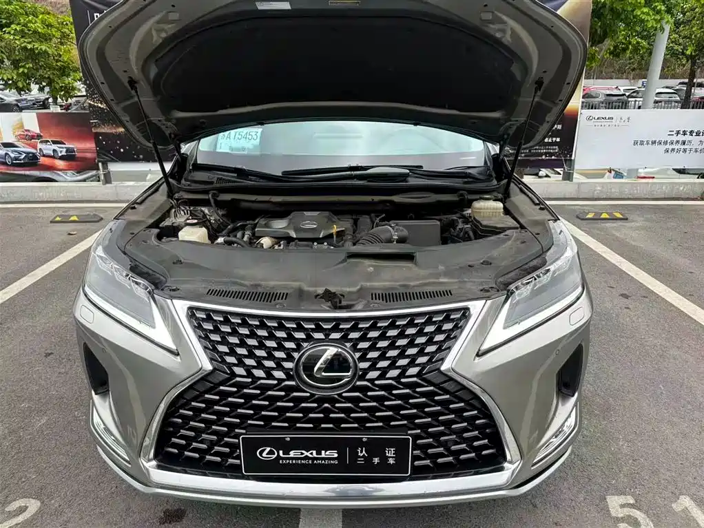 Lexus RX 2020 300 AWD Elegance Edition China V фото 3