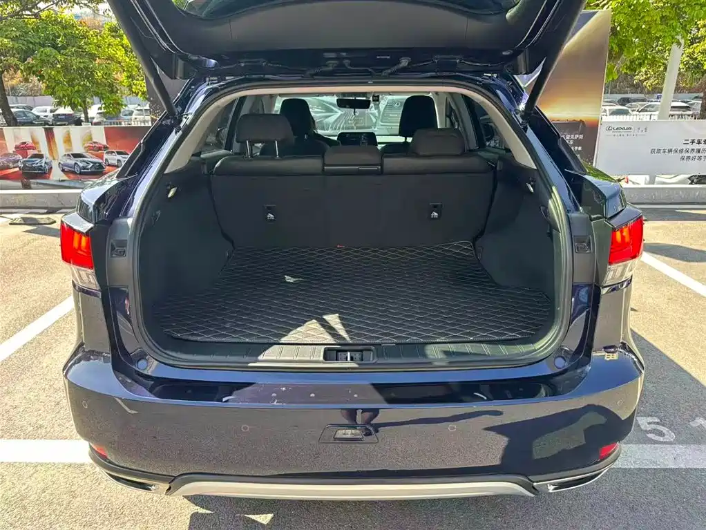 Lexus RX 2020 300 2WD Elite Edition China V фото 12
