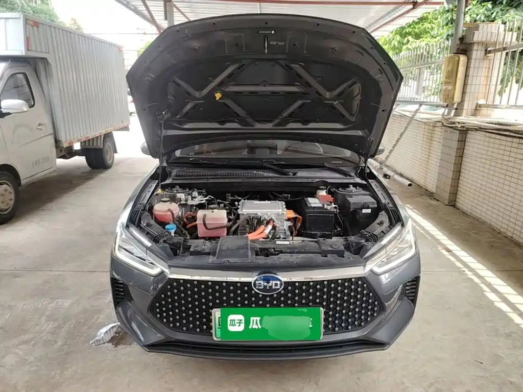 BYD e2 2021 2020 Upgraded Long Range Luxury