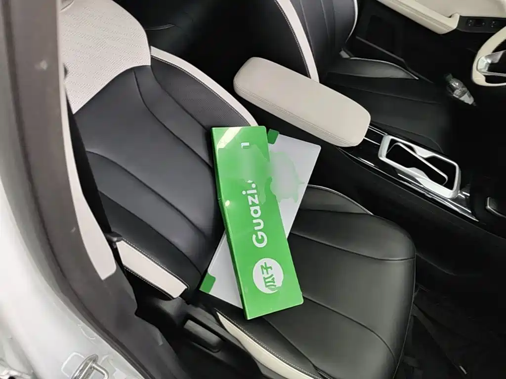 Geely Geometry E Firefly 2024 2024 Model 401km Fluorescent