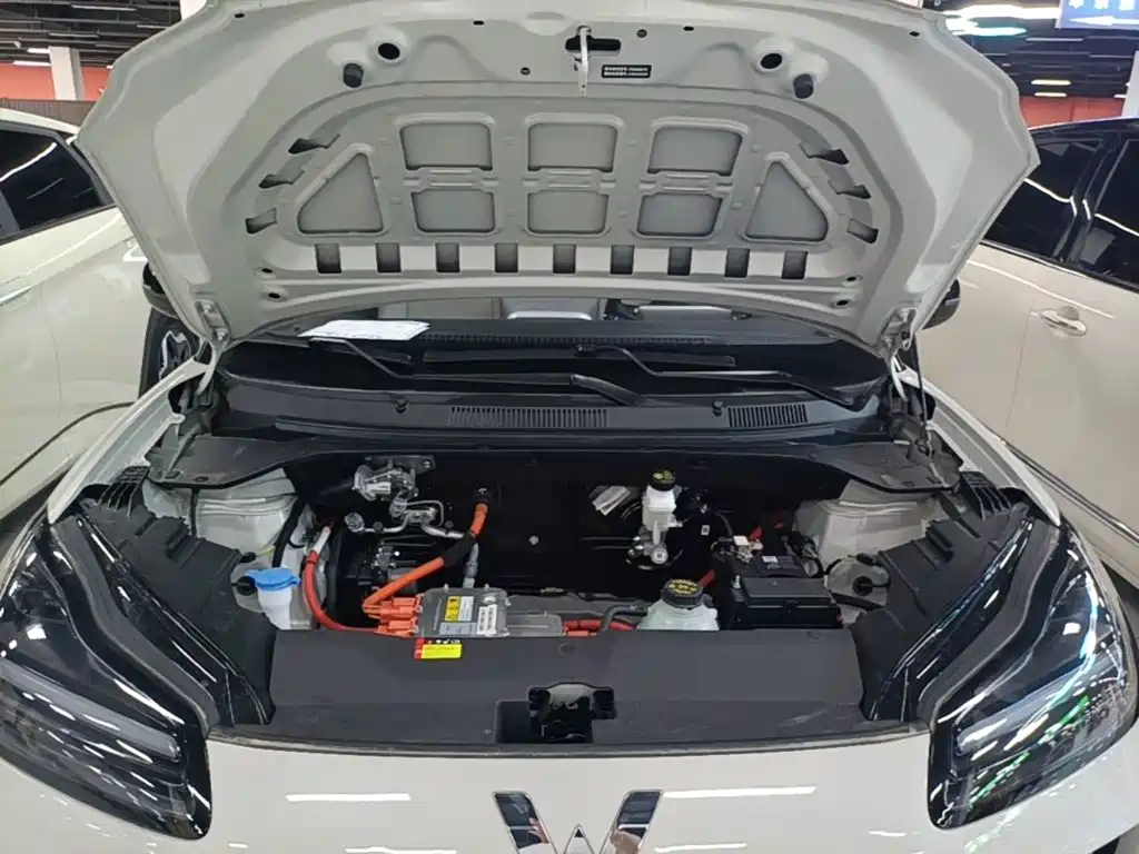 Wuling Motors Wuling Binguo PLUS 2026 2024 401km Range 5-seater
