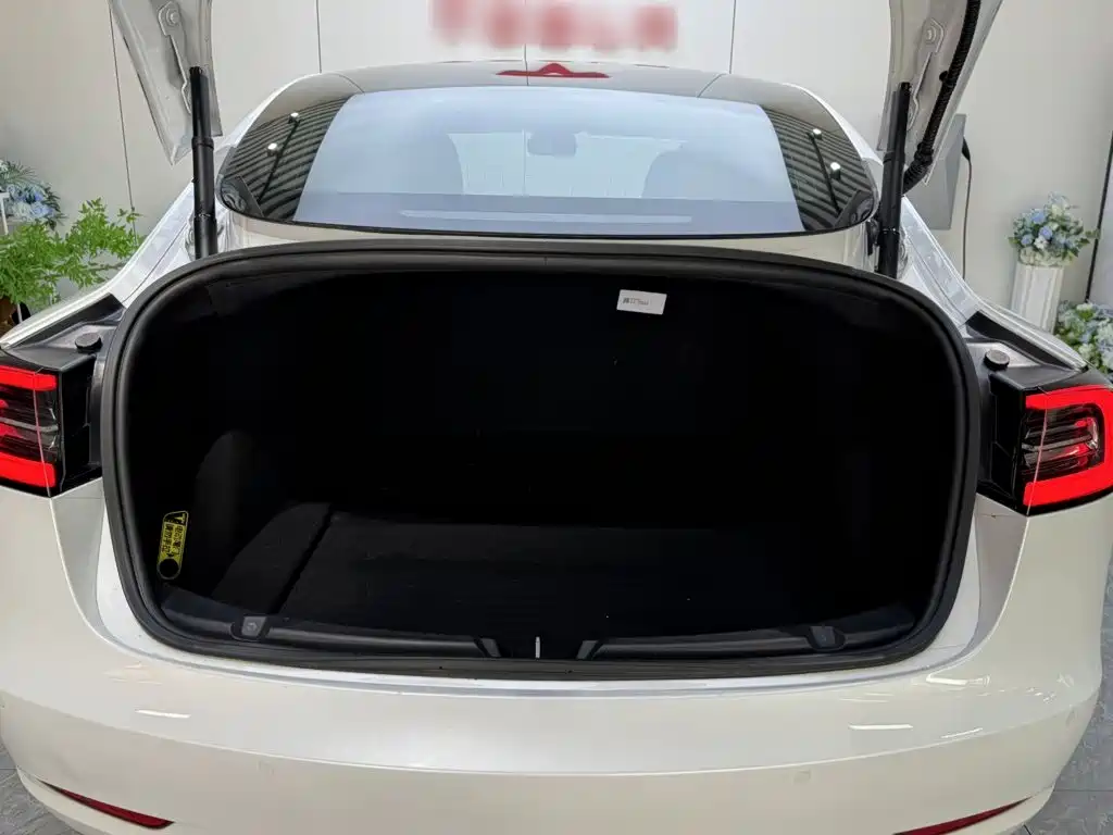 Tesla Model 3 (Import) 2019 2019 Standard Range RWD Upgraded Edition