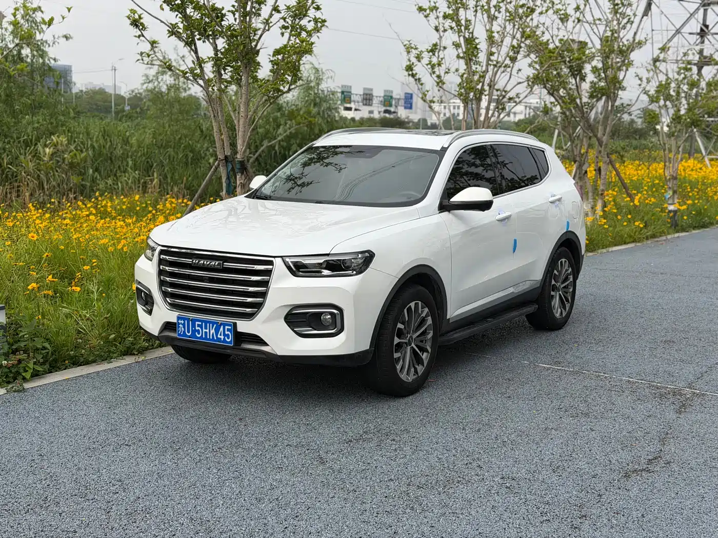 Haval H6 2020 1.5GDIT Automatic Platinum Champion Edition