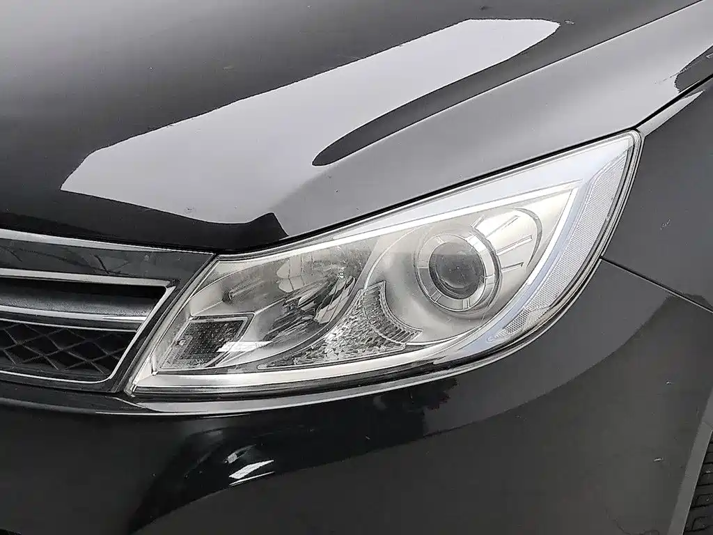 Фото 7 - BYD Surui