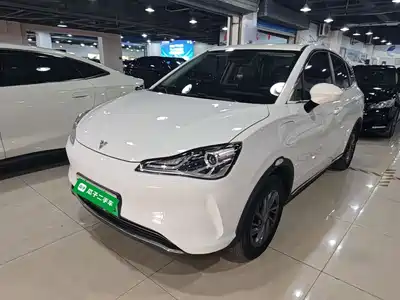 Neta V