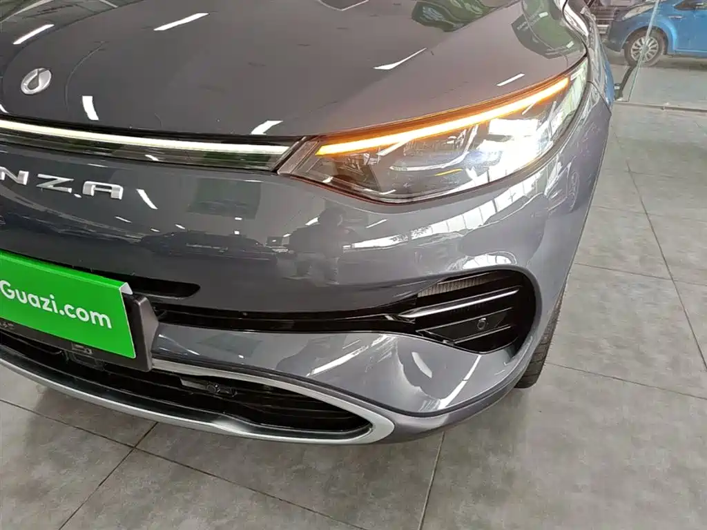 Denza X 2020 PHEV Sport Edition фото 24