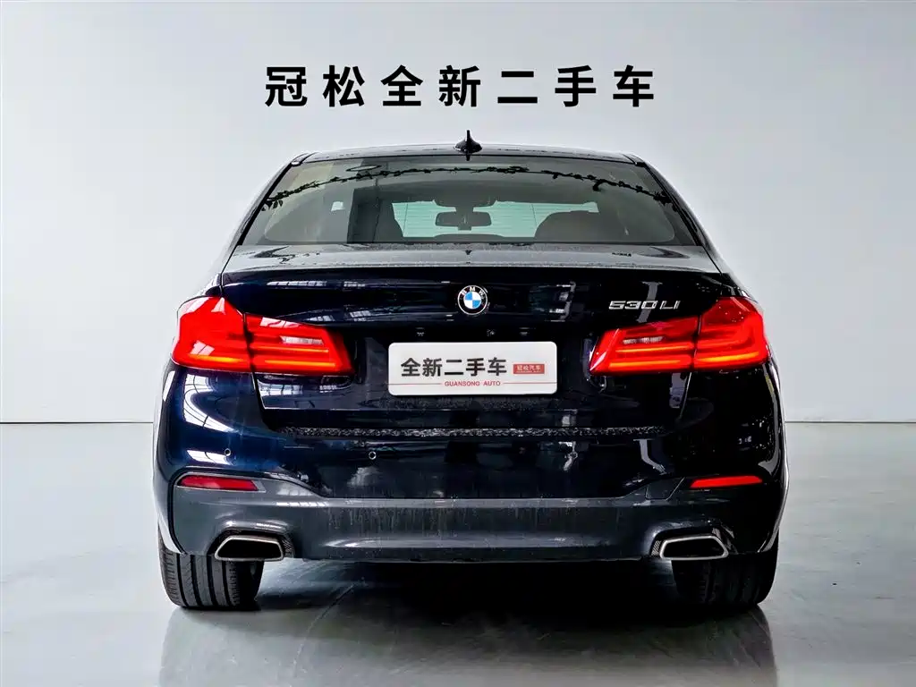 BMW 5 Series 2020 530Li Exclusive M Sport Package фото 5