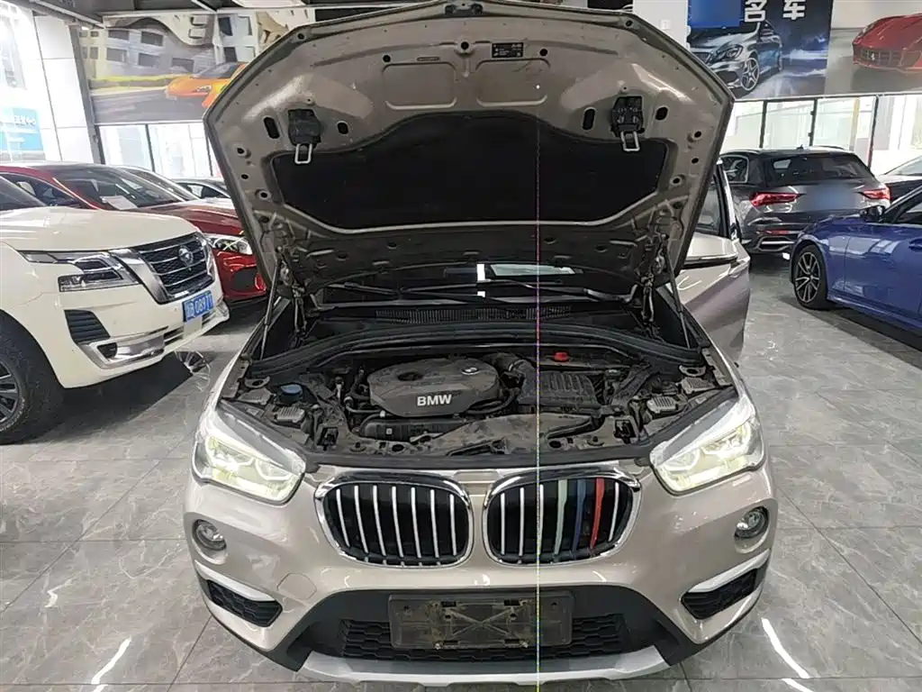 BMW X1 2018 xDrive20Li Premium Model фото 20