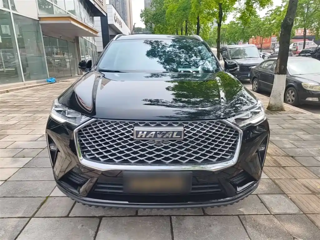 Haval H6 2022 3rd Gen 1.5T Auto 2WD Pro фото 3