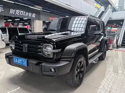 Tank 300