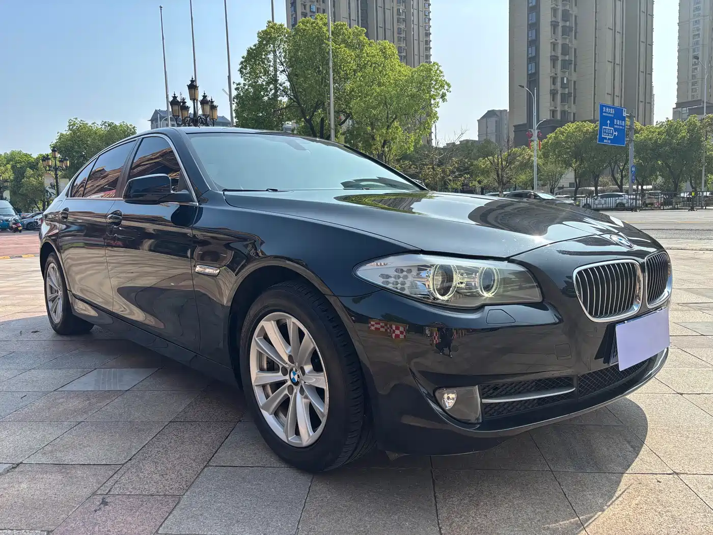 BMW 5 Series 2013 525Li Luxury фото 3