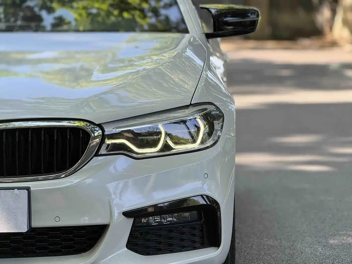 BMW 5 Series 2019 530Li Leading M Sport Package фото 16