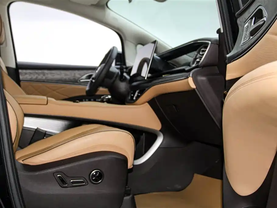 Denza D9 2024 DM-i 980 AWD Premium фото 19