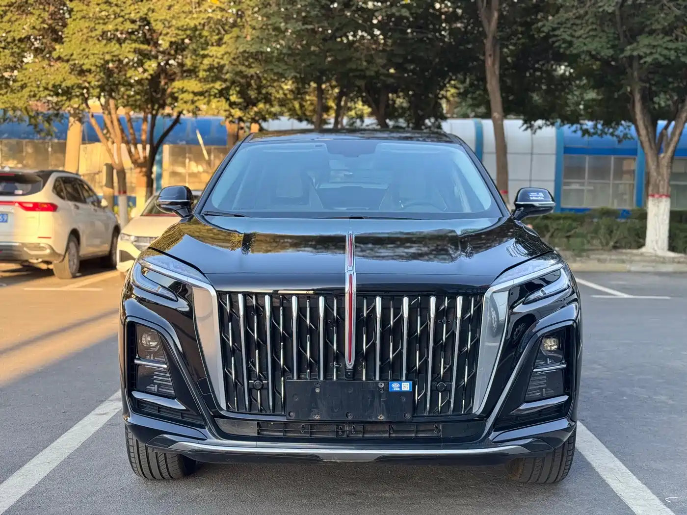 Hongqi HS3 2024 2024 1.5T Aspiration Edition