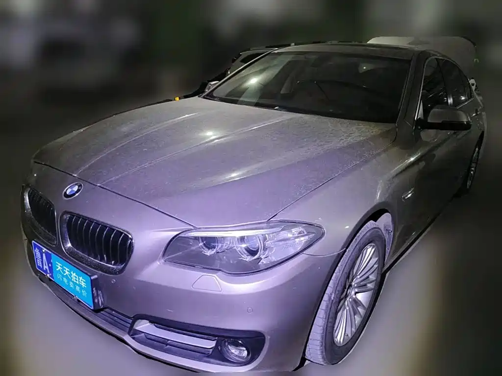 BMW BMW 5 Series 2014 525Li Leading