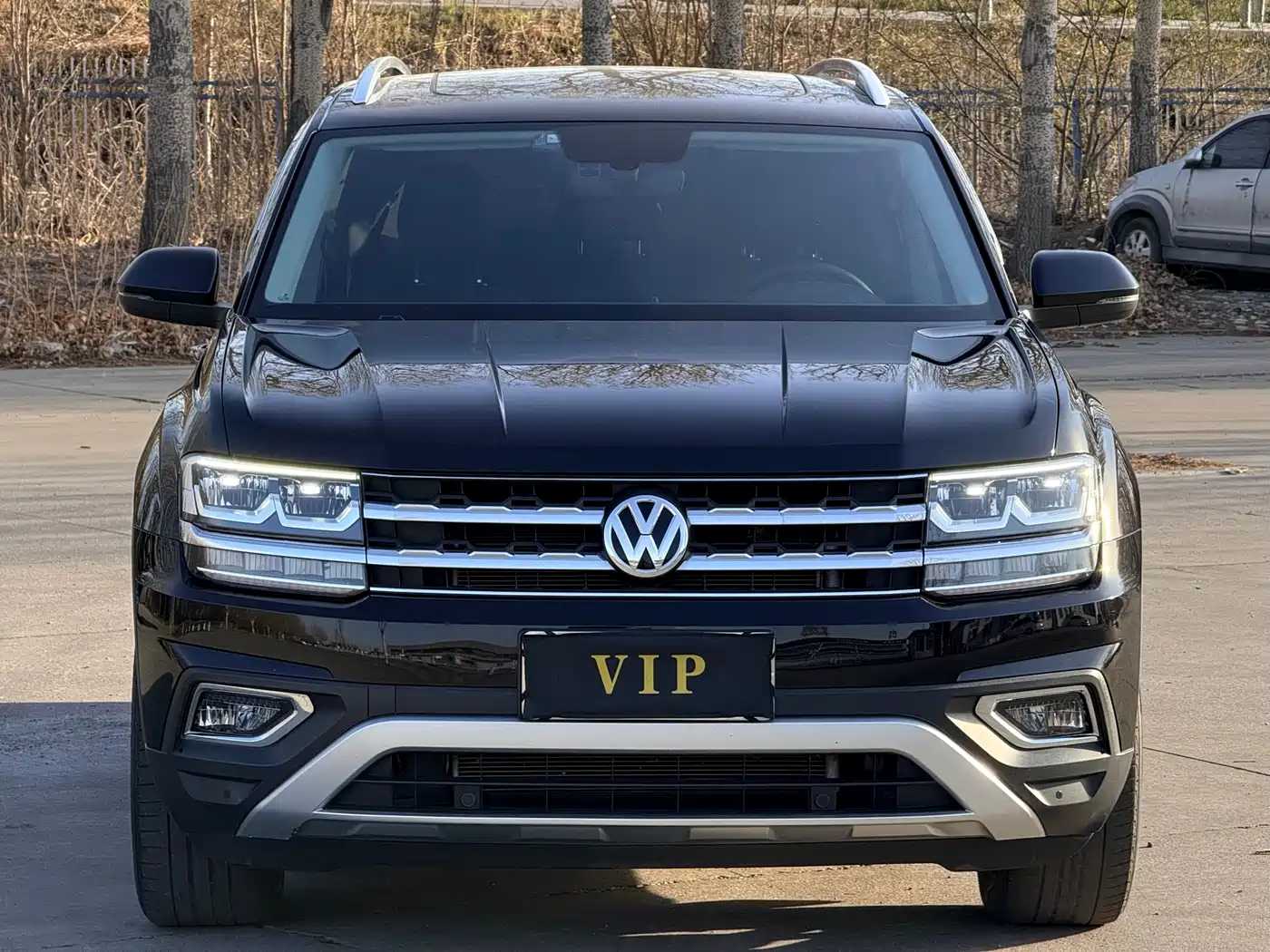 Volkswagen Teramont 2020 380TSI 4WD Luxury China V фото 2