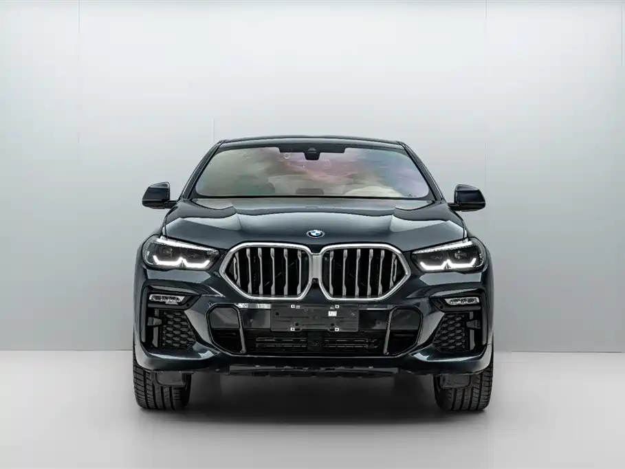 BMW X6 2021 xDrive30i M Sport Package фото 2