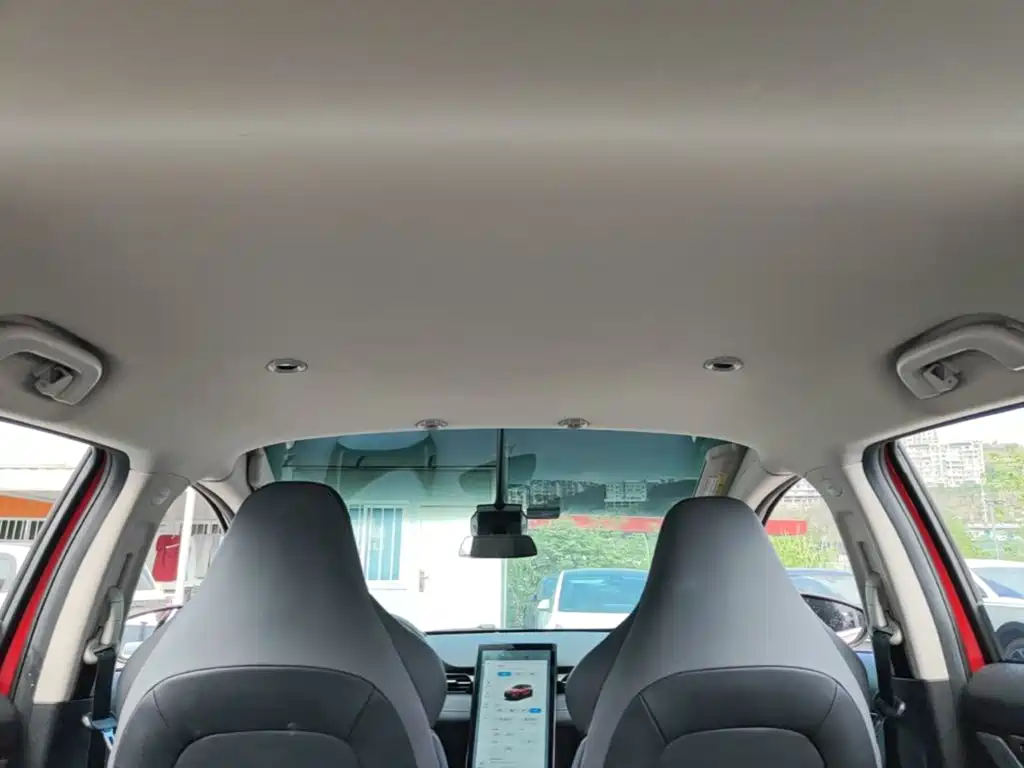 XPeng G3 2021 2020 520i Smart Edition