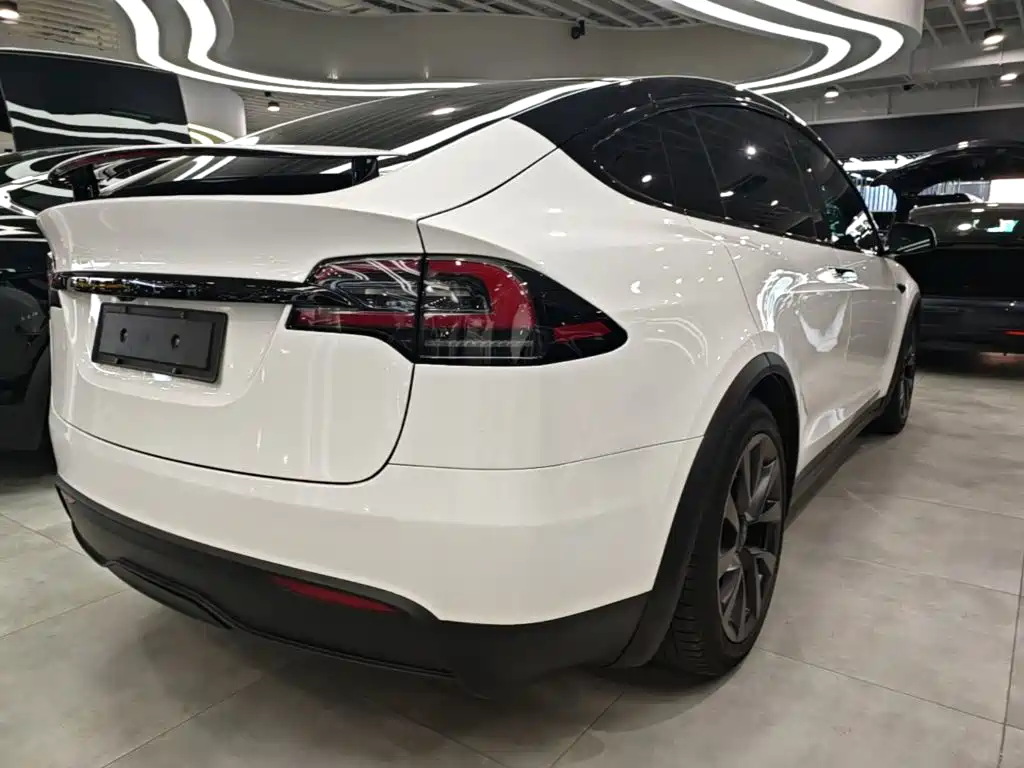 Фото 5 - Tesla Model X