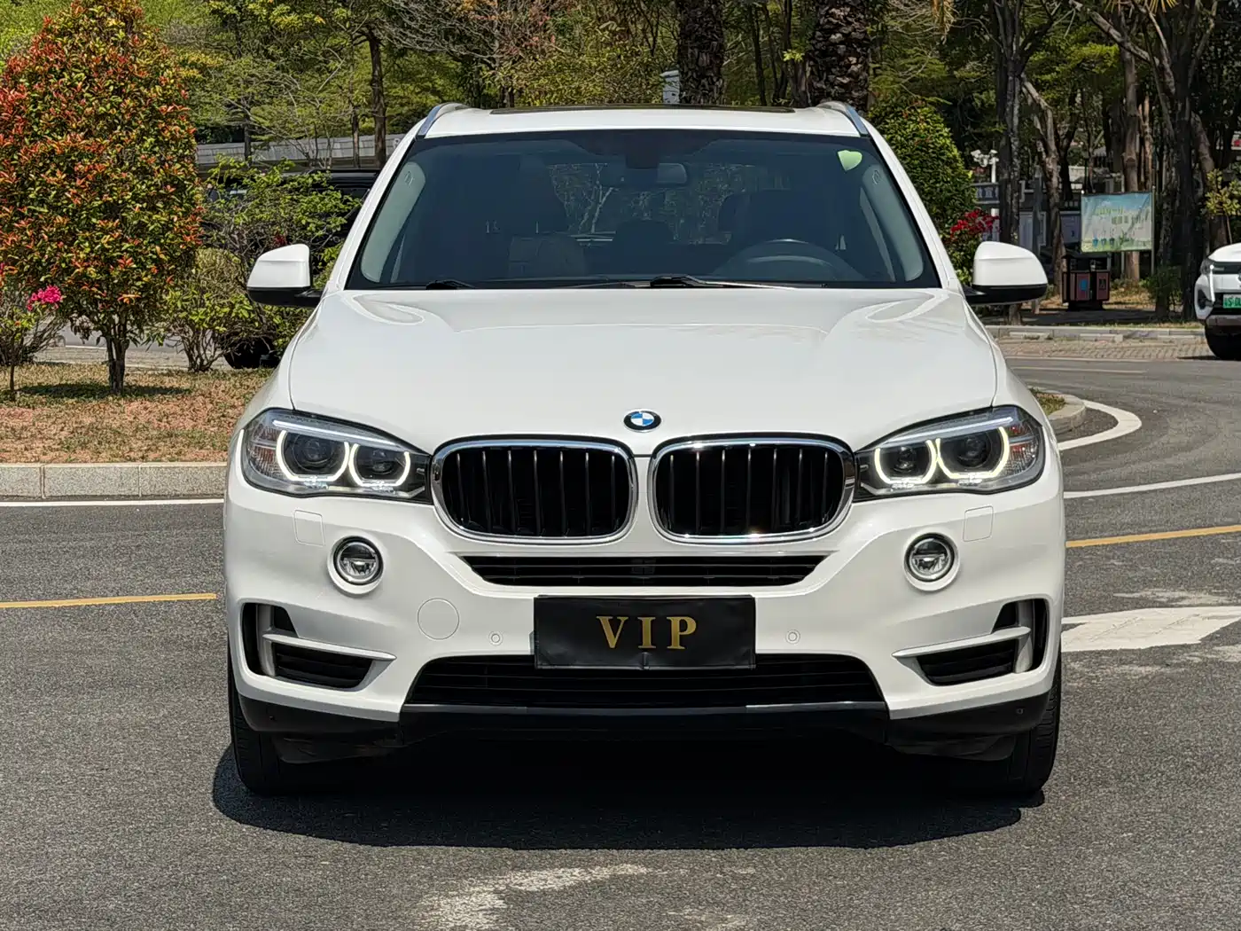 BMW X5 (Import) 2014 xDrive35i Leading фото 3