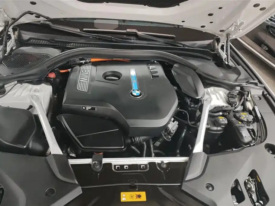 BMW 5 Series New Energy 2019 530Le Luxury Package фото 10