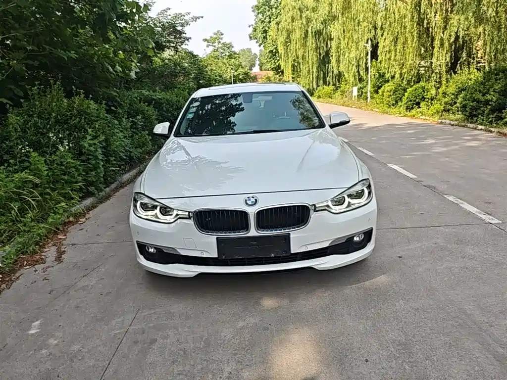 BMW 3 Series 2017 320Li Fashion фото 3