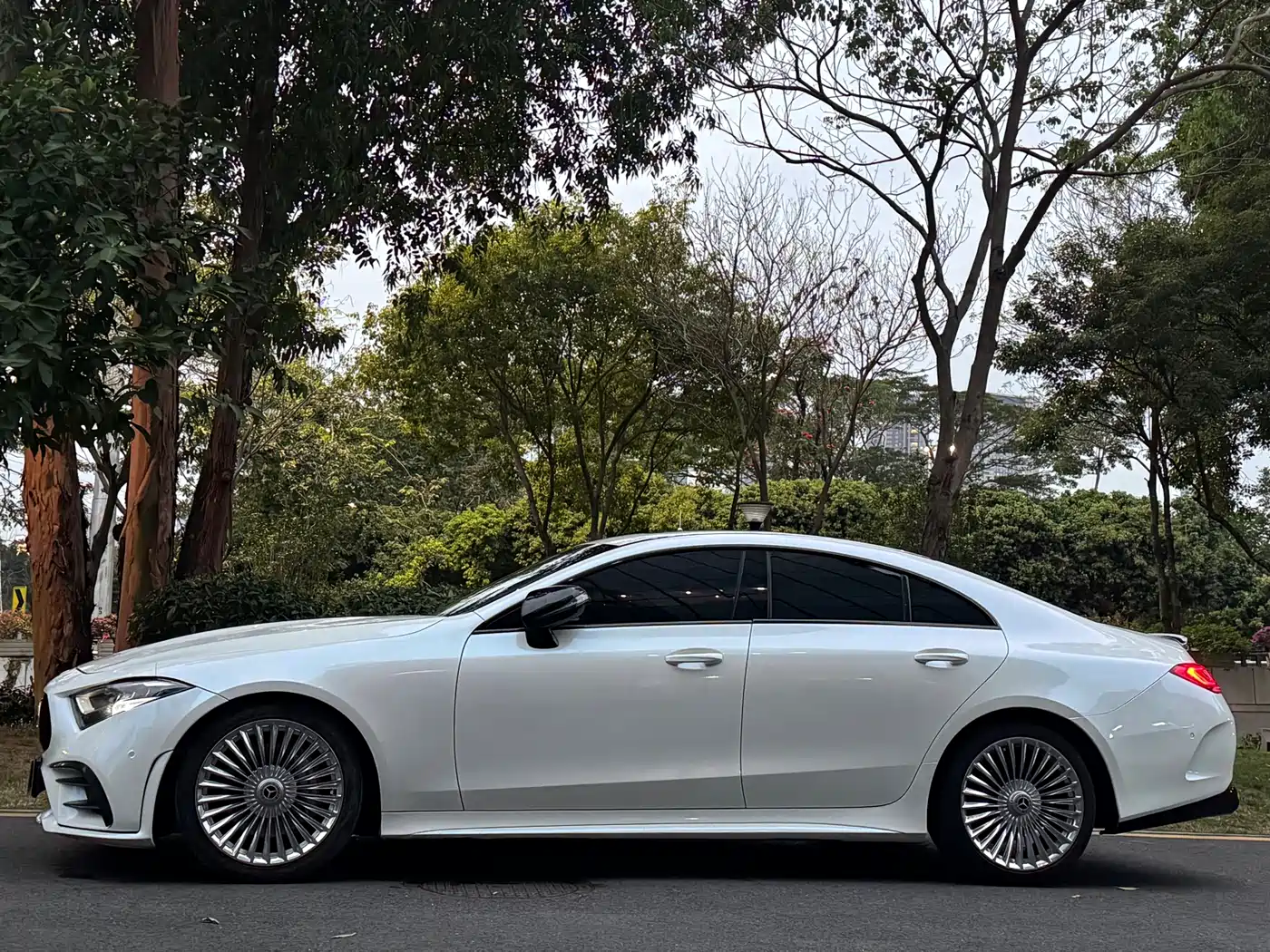 Mercedes-Benz CLS 2020 CLS 300 Dynamic фото 4