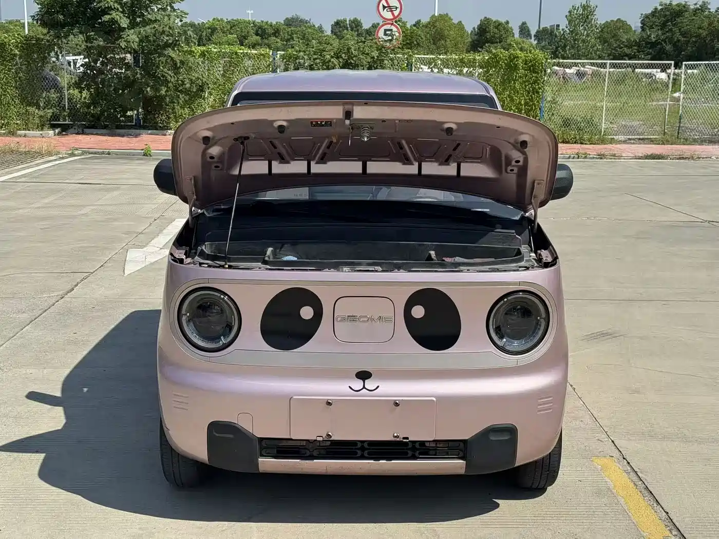 Geely Galaxy Panda 2023 2023 Panda Mini 200km Endurance Bear